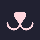 Weather for Dog Walking