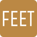 Feet to mm