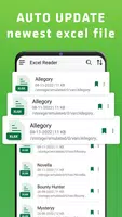 XLSX görüntüleyici Ekran Görüntüsü 3