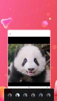 Screen Record ảnh chụp màn hình 2