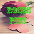 ROSES PICS