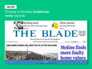 THE BLADE XAPK 下載