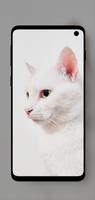 Beautiful Cats Wallpapers 4K تصوير الشاشة 2