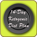 14-Day Ketogenic Diet Plan APK