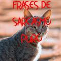 Frases de sarcasmo puro