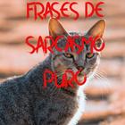 Frases de sarcasmo puro иконка