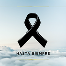 Lazos de luto con frases APK
