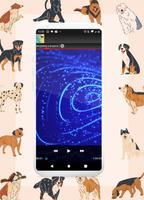 Sonido para ahuyentar perros 截图 1