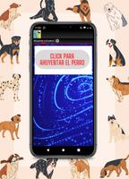 Sonido para ahuyentar perros 截图 2
