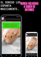 Ruido para ahuyentar ratas постер