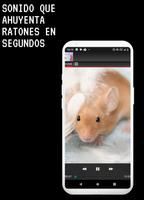 Ruido para ahuyentar ratas скриншот 2