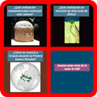 Trivia quiz de historia 圖標