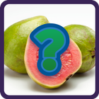 Quiz Frutas - Gana Dinero real иконка