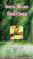 Oiseaux sonneries sonores Affiche
