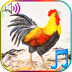 Funny Wake Up Ringtones APK