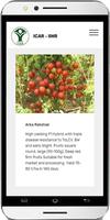 برنامه‌نما Tomato Cultivation عکس از صفحه