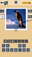 Guess The Animal-poster