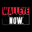 آیکون‌ Walleye Now