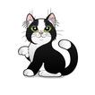 Cartoons Fun Amazing icon