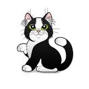 Cartoons Fun Amazing APK