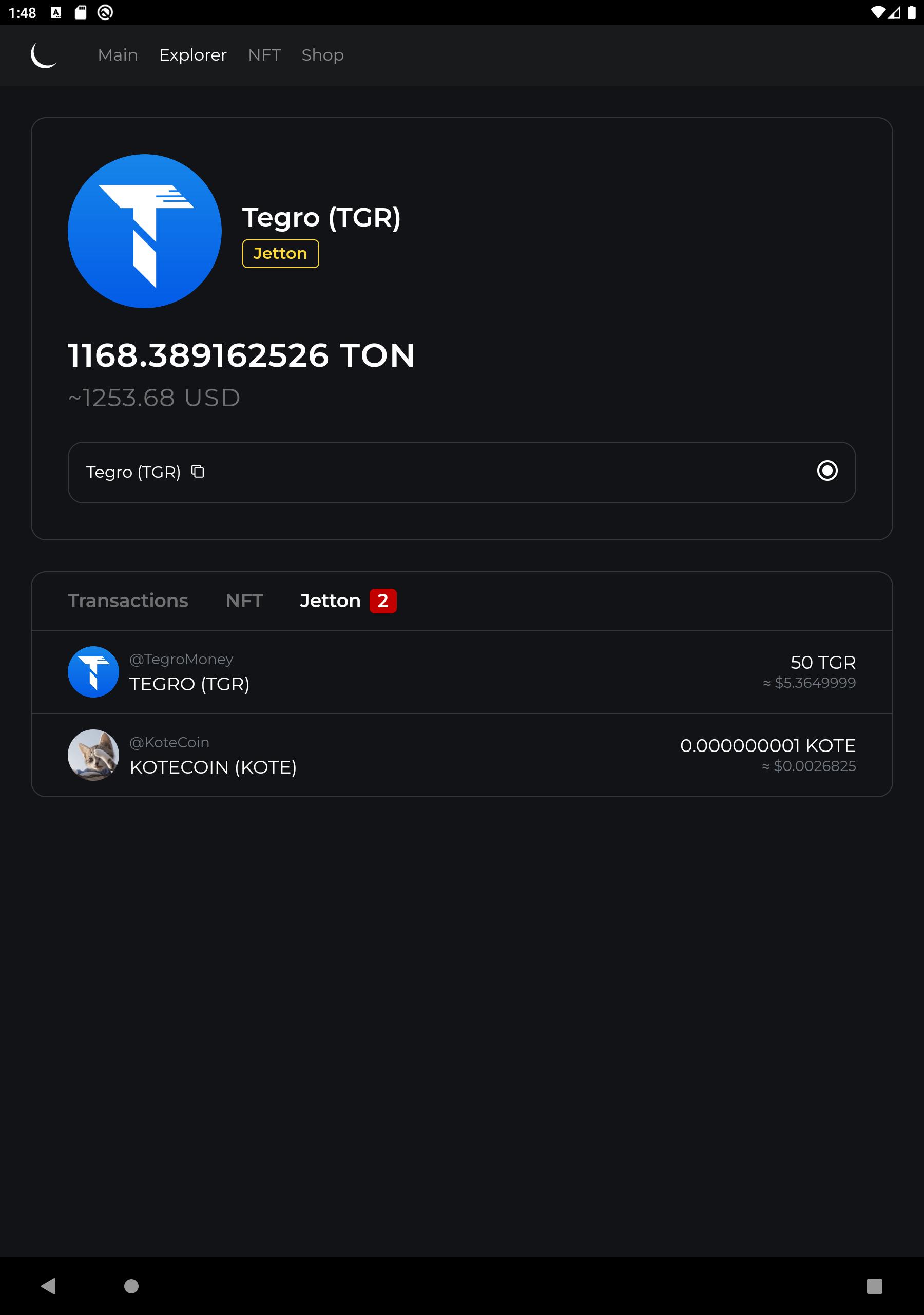 Ton explorer