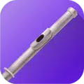 tonestro - learn Flute