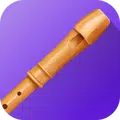 tonestro - learn Recorder