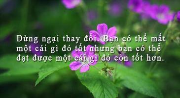 Hạt Giống Tâm Hồn - Danh Ngôn Affiche