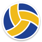Volleyball Referee icône