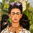 Frida Kahlo frases inspiradora icon