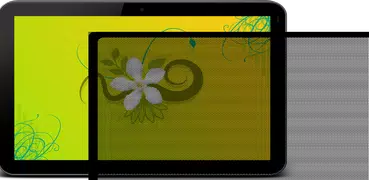 Best Auto Display Filter