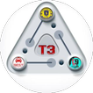 Top-3 Taxi