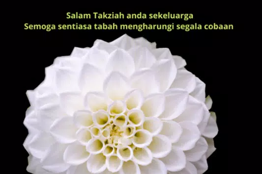 E Kad Salam Takziah Apk For Android Download