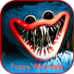Poppy Playtime horror - poppy