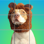 Wood Block - Number Puzzle icon