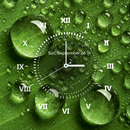Живые Обои Аналоговые Часы APK