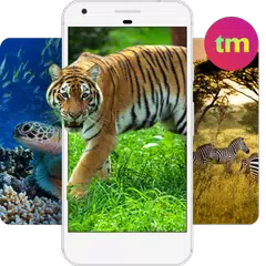 無料で動物壁紙 Apkアプリの最新版 Apk2 07をダウンロード Android用 動物壁紙 アプリダウンロード Apkfab Com Jp