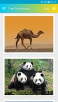 برنامه‌نما تصویر زمینه حیوانات عکس از صفحه