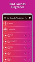 Bird Sounds Ringtones poster