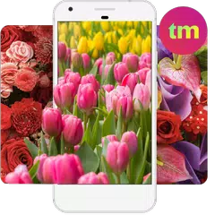 Blumen Hintergrundbilder XAPK Herunterladen