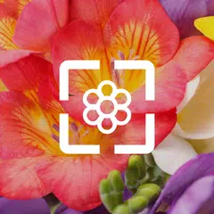 Flower Wallpaper HD Icon
