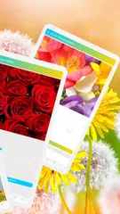 Blumen Hintergrundbilder XAPK Herunterladen