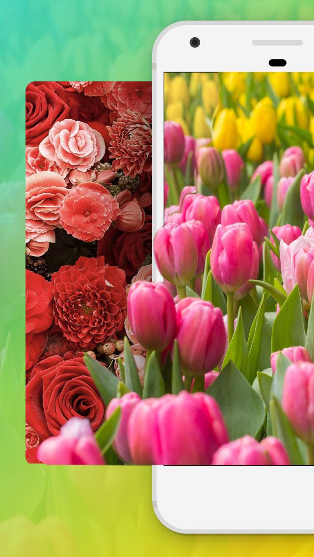 Featured image of post Blumen Hintergrundbilder Handy Kostenlos Laden sie diese app f r windows 10 mobile windows phone 8 1 windows phone 8 aus dem microsoft store herunter