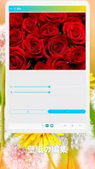 花 壁紙 アプリダウンロード