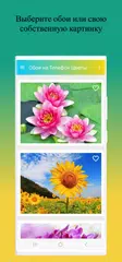 Скачать Обои на Телефон Цветы XAPK