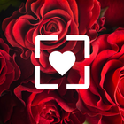 Love Wallpaper HD icon