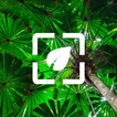 Nature Wallpaper HD icon