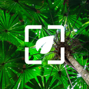 Fond D'écran Nature HD APK