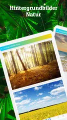 Hintergrundbilder Natur XAPK Herunterladen