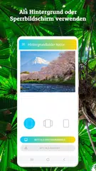 Hintergrundbilder Natur XAPK Herunterladen